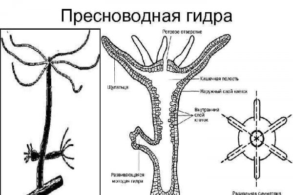 Кракен онлайн магазин