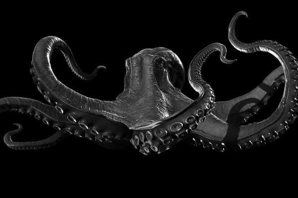 Ссылка на кракен krakens13 at